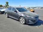 2014 KIA Optima Hybrid