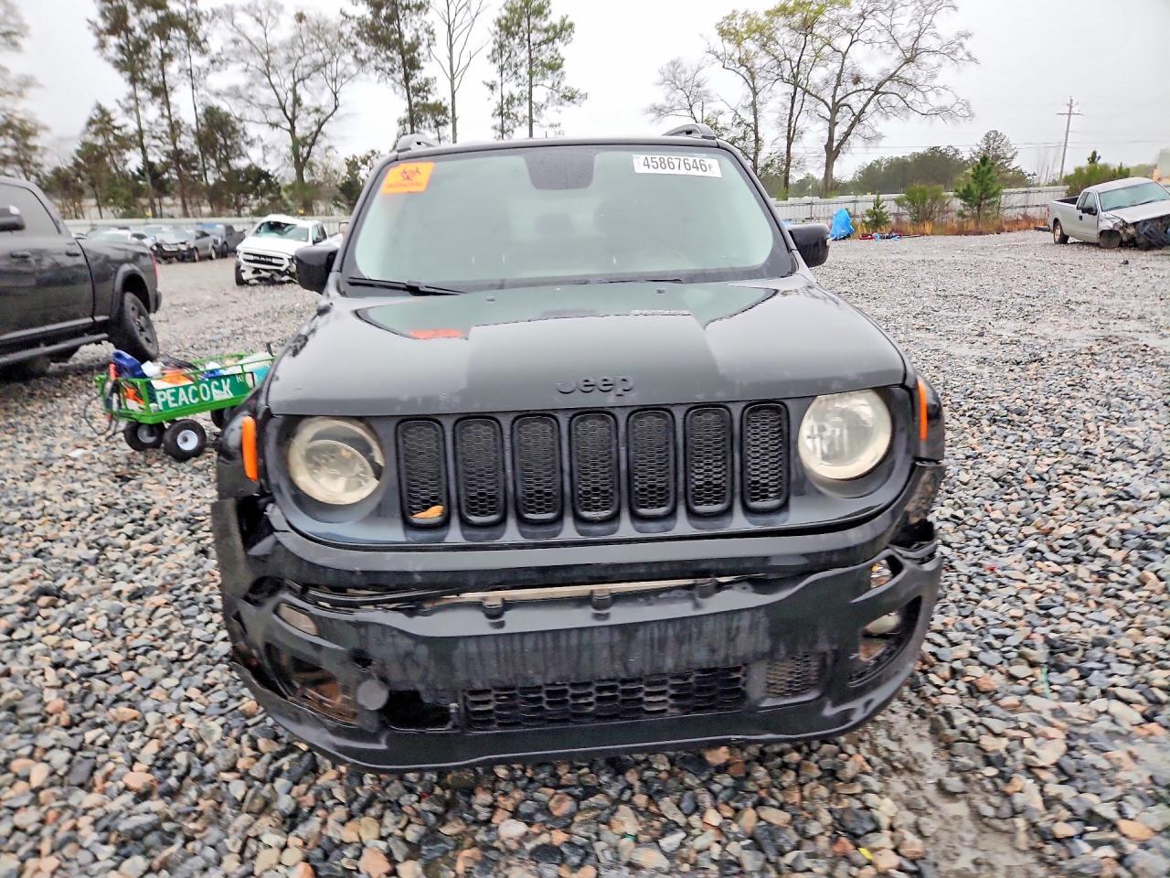 2017 JEEP Renegade