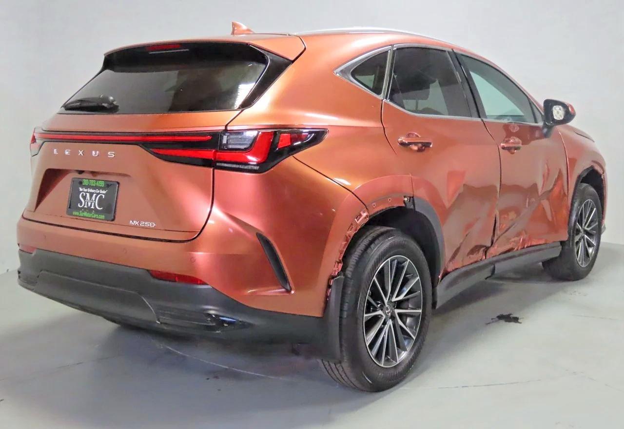 2025 LEXUS NX 250