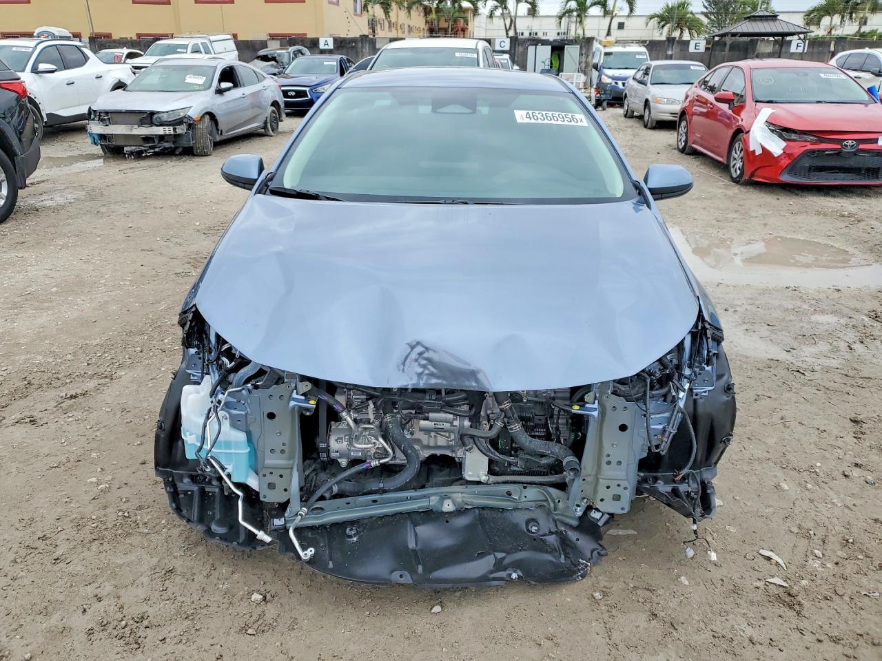 2026 TOYOTA COROLLA