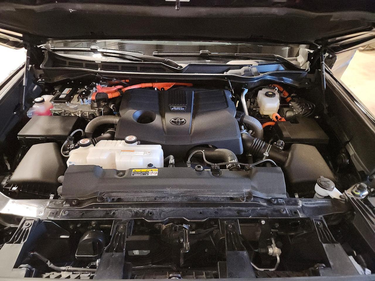 2024 TOYOTA Sequoia