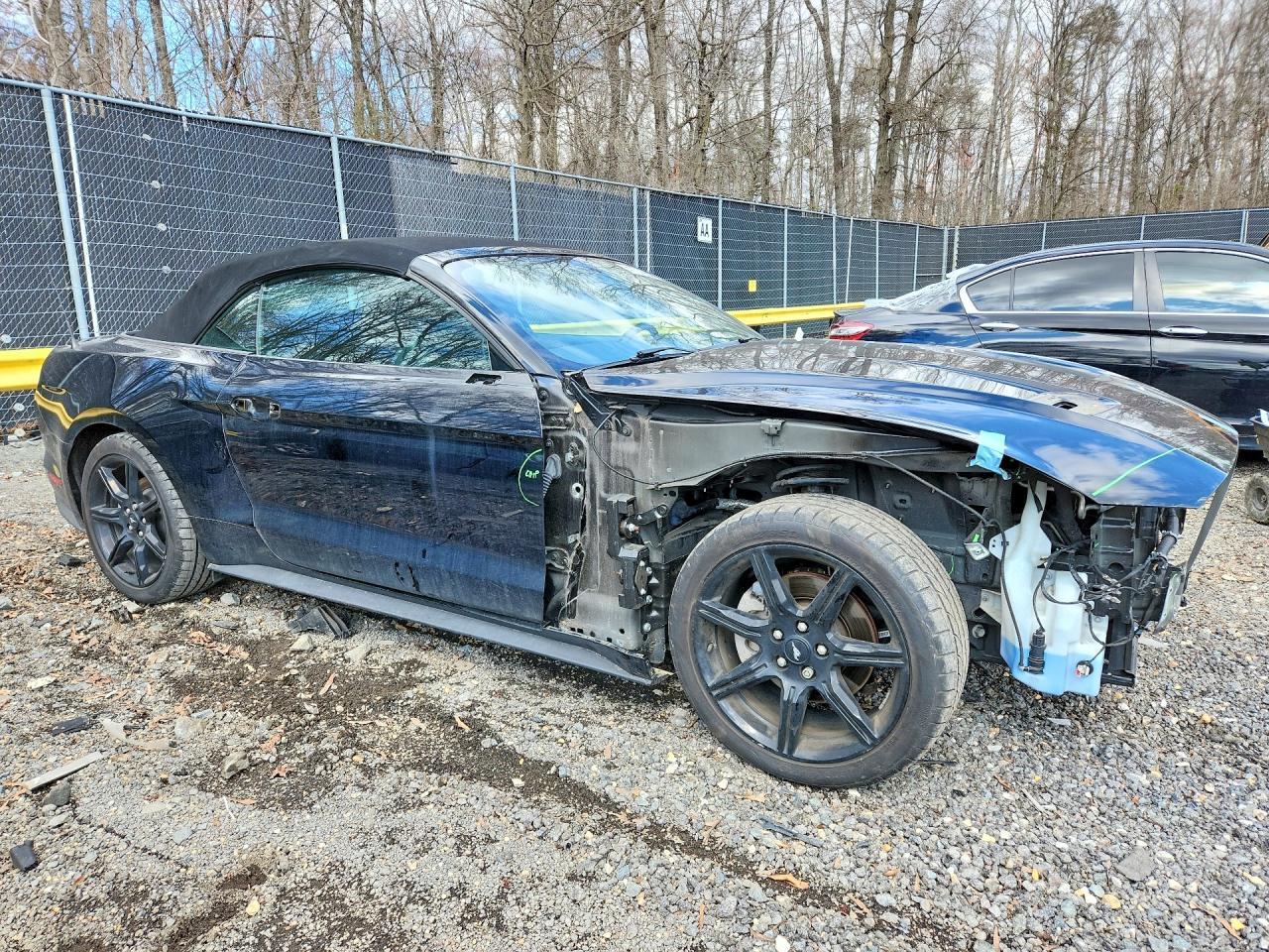 2019 FORD MUSTANG