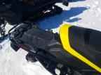2021 Ski Renegade