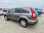 2009 HONDA CR-V