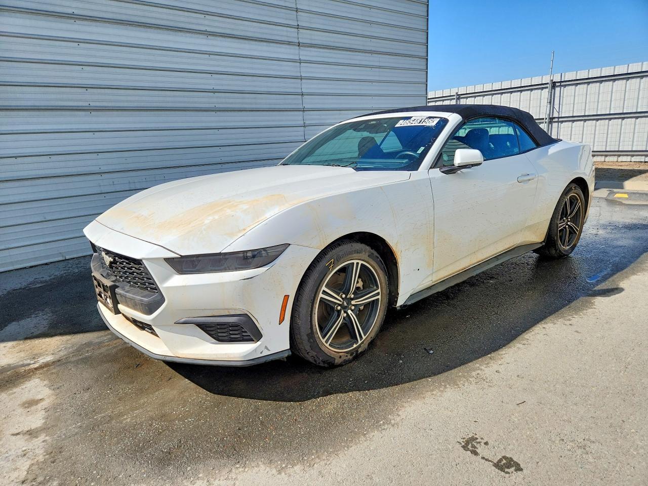 2025 FORD MUSTANG