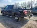 2013 FORD F-150 Lightning