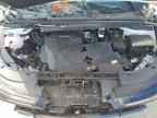 2026 KIA Carnival