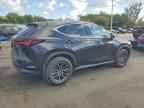 2023 LEXUS NX 350