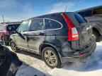2010 HONDA CR-V