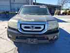2011 HONDA PILOT