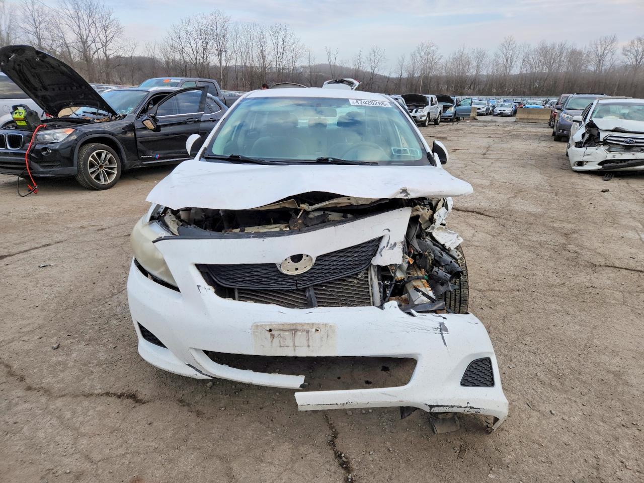 2010 TOYOTA COROLLA