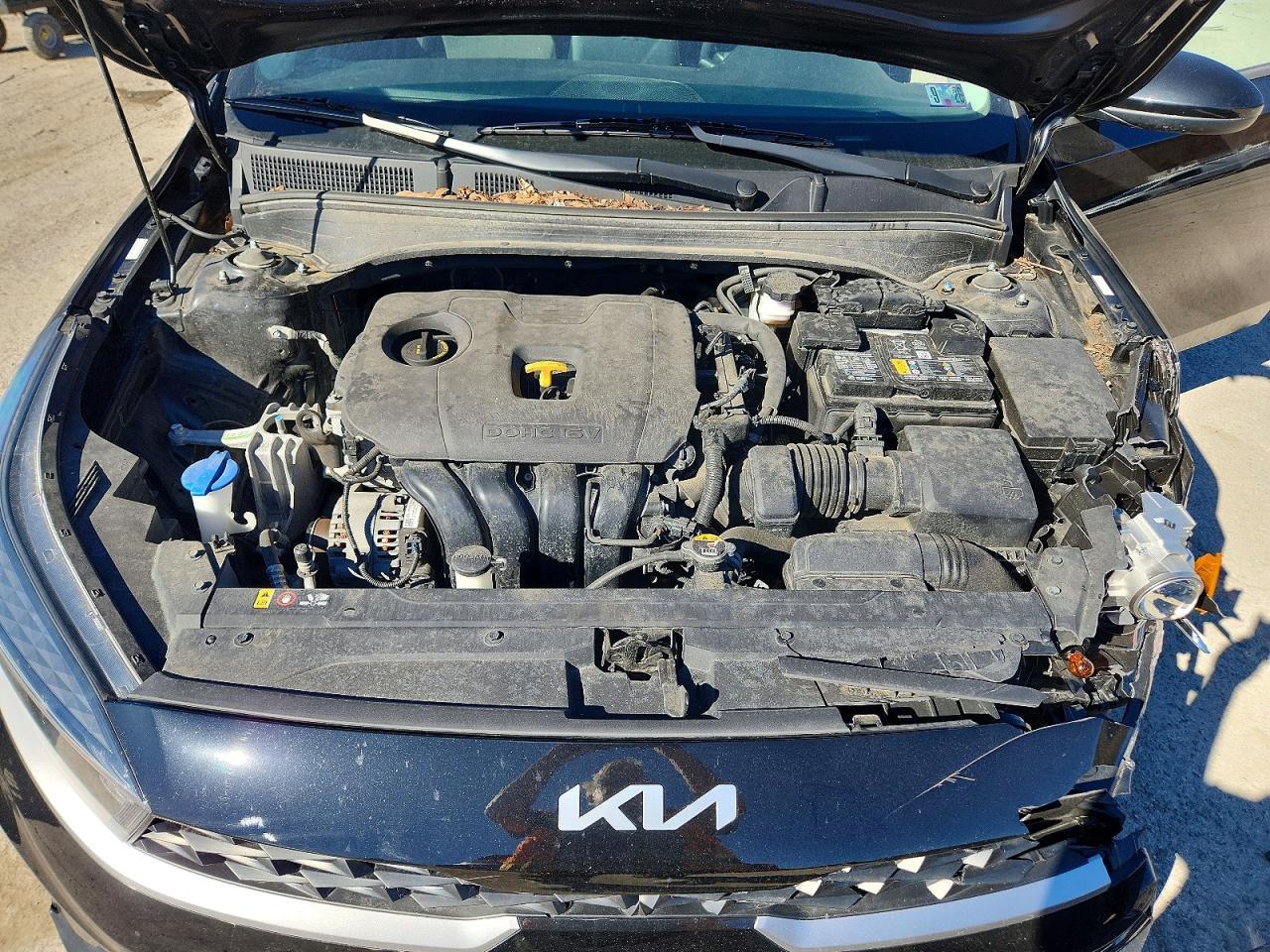 2023 KIA FORTE