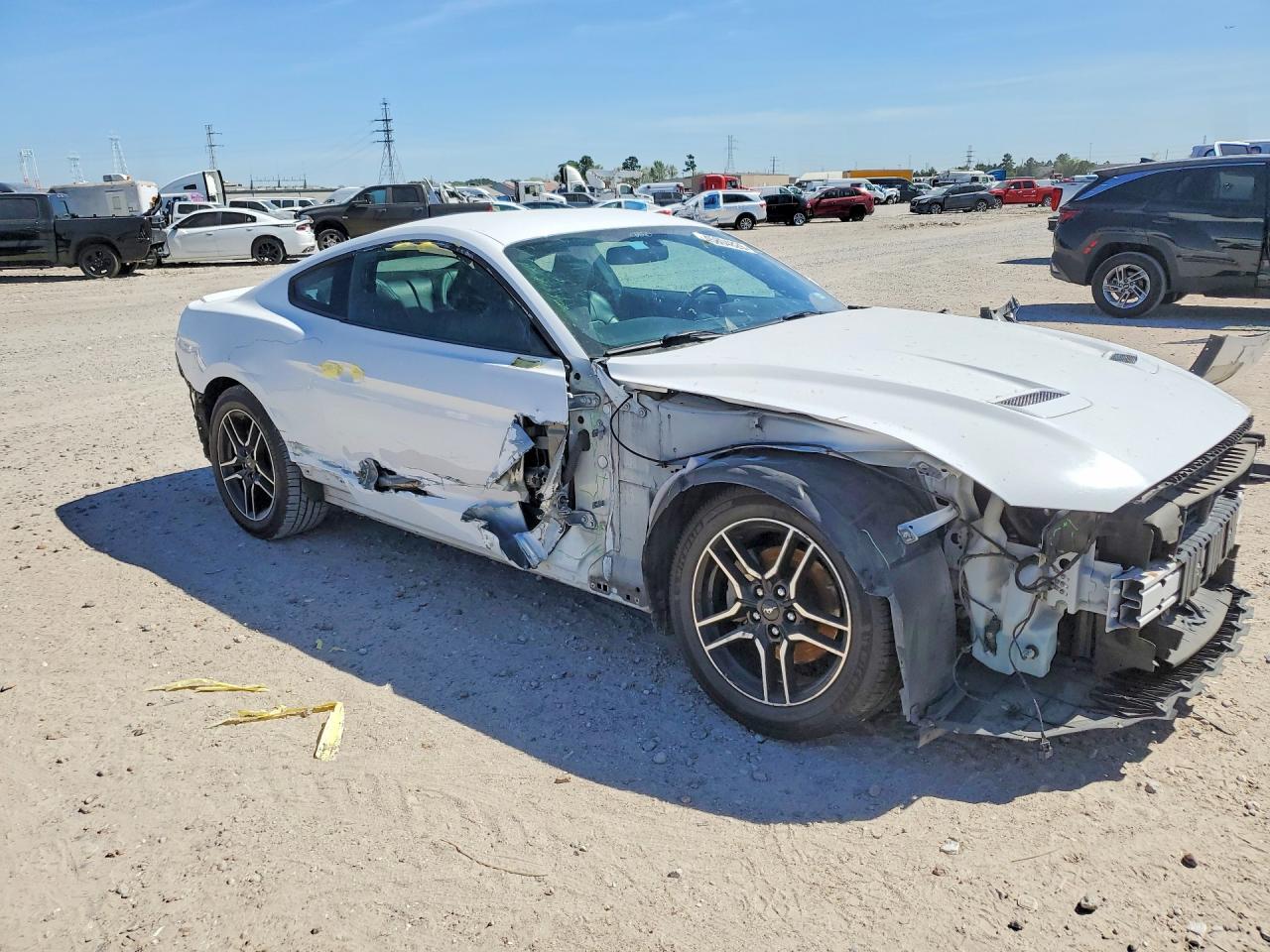 2019 FORD MUSTANG