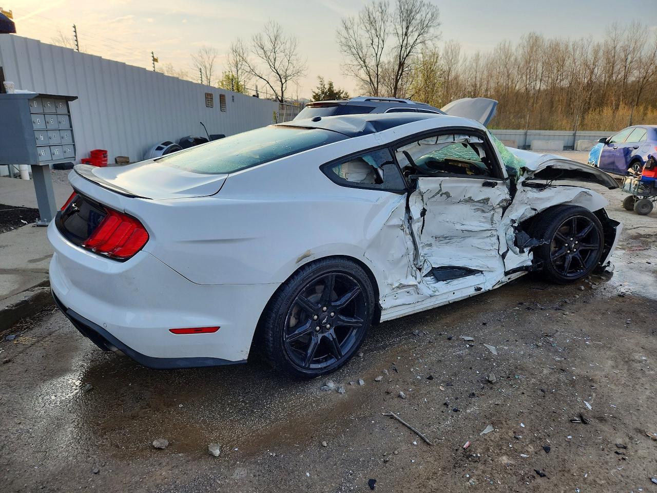 2019 FORD MUSTANG