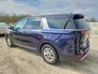 2024 KIA Carnival