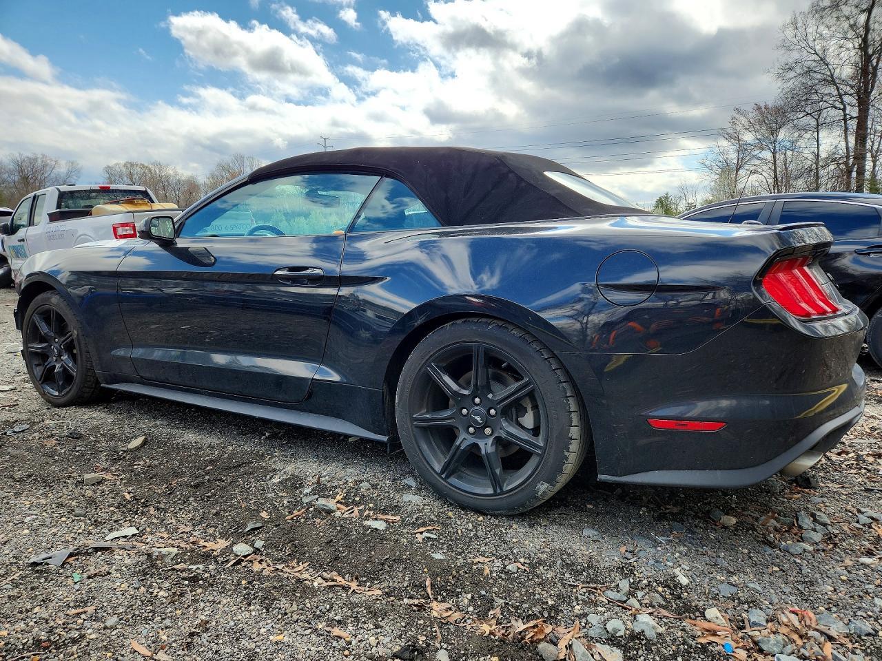 2019 FORD MUSTANG