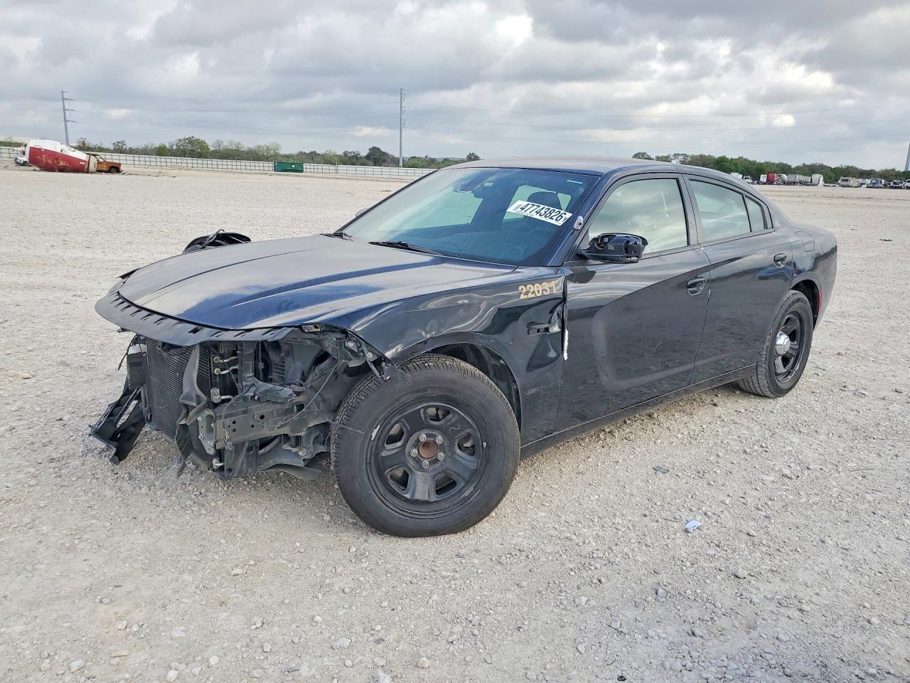 2021 DODGE CHARGER