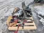 2007 SKI-DOO Skandic