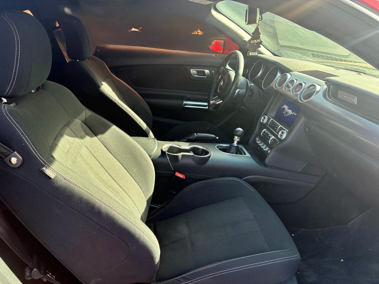 2019 FORD MUSTANG