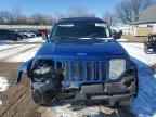 2010 JEEP Liberty