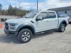 2017 FORD F-150 Lightning