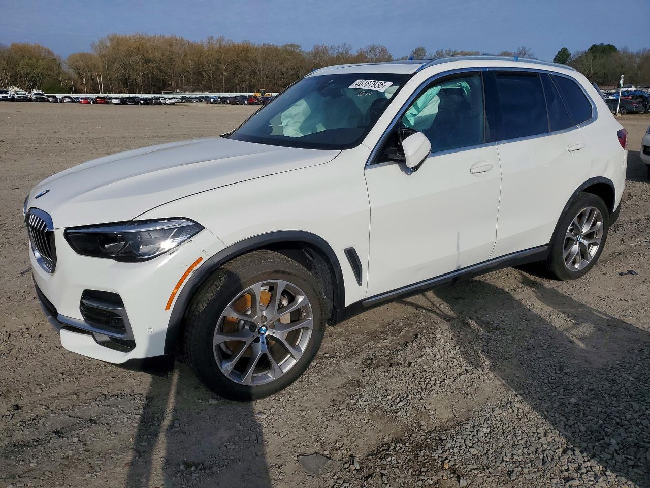 2023 BMW X5