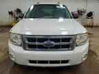 2009 FORD ESCAPE