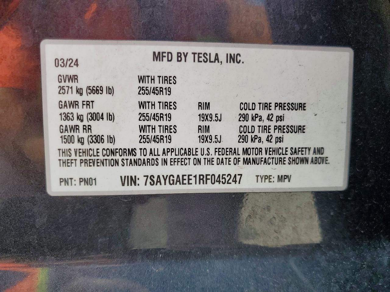 2024 TESLA MODEL Y