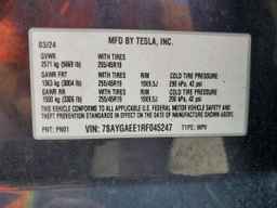 2024 TESLA MODEL Y