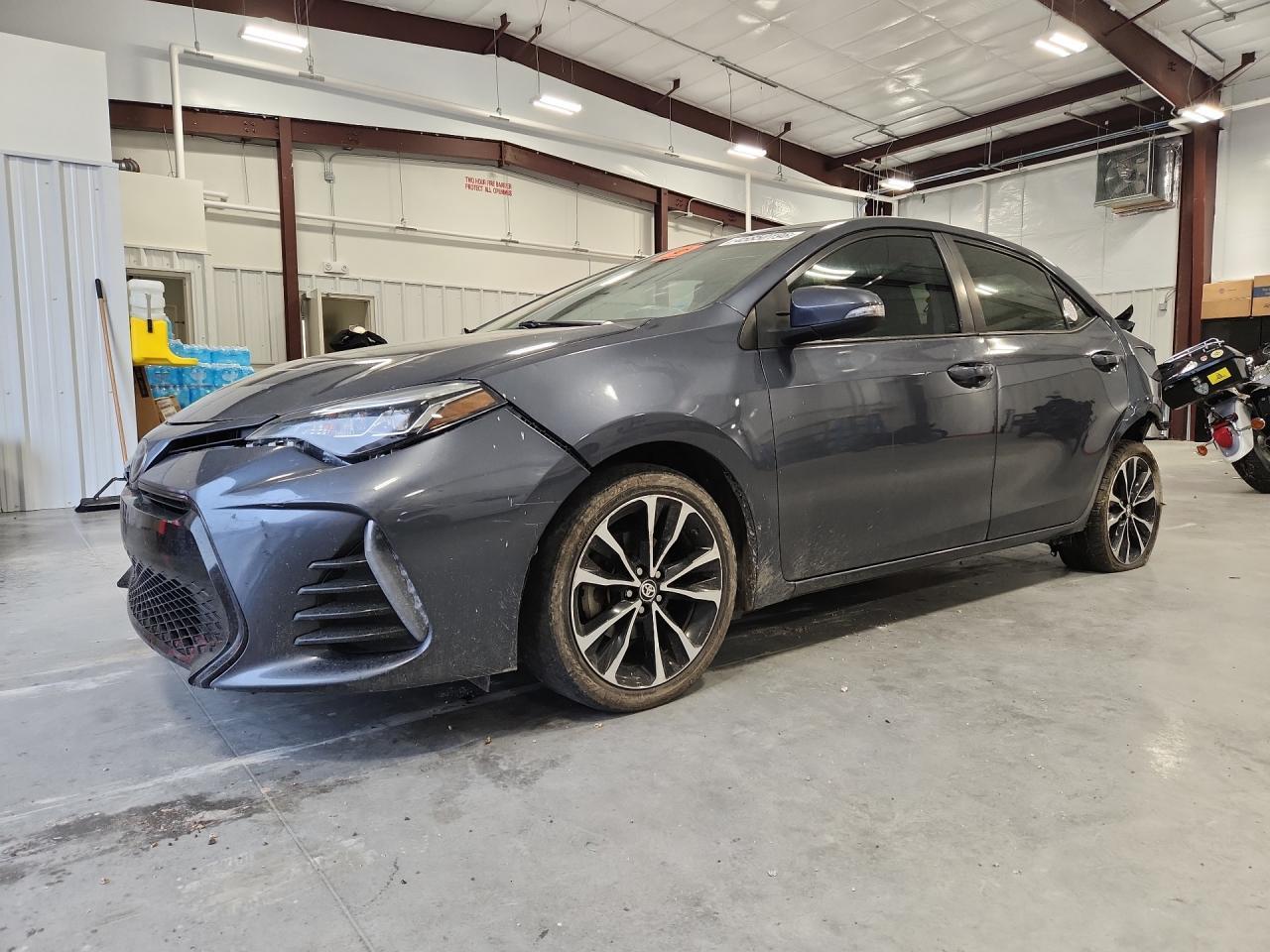 2019 TOYOTA COROLLA