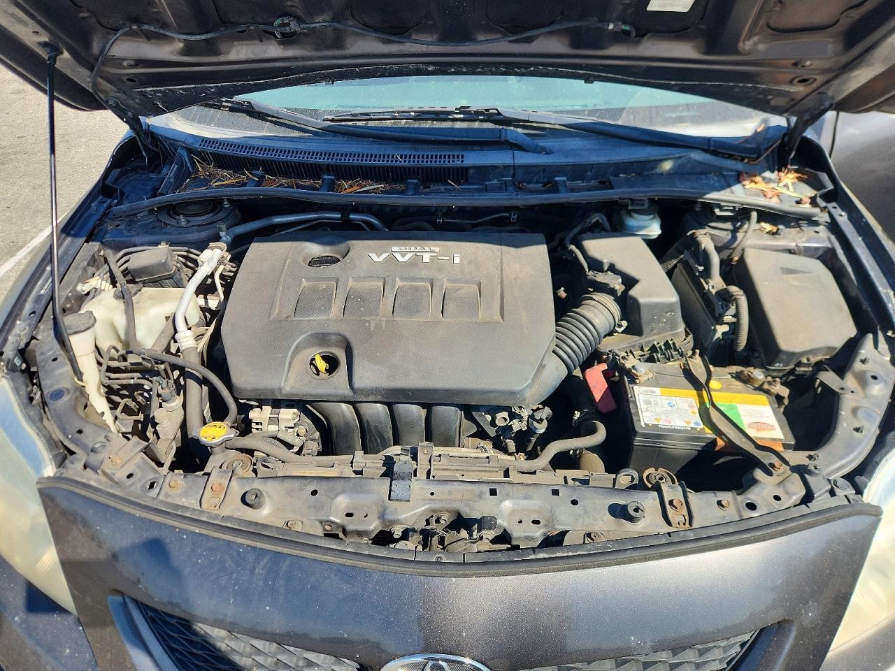 2010 TOYOTA COROLLA