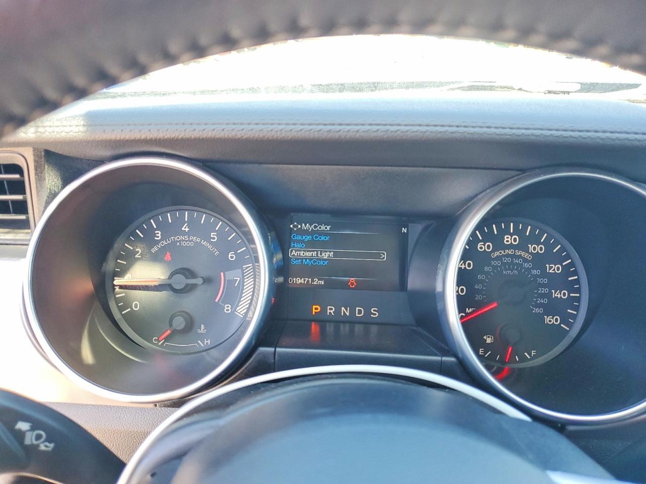 2019 FORD MUSTANG