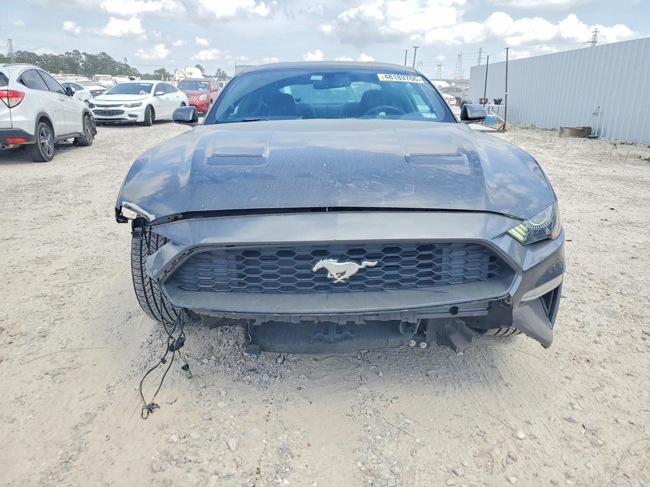 2019 FORD MUSTANG