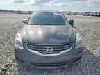 2010 NISSAN ALTIMA