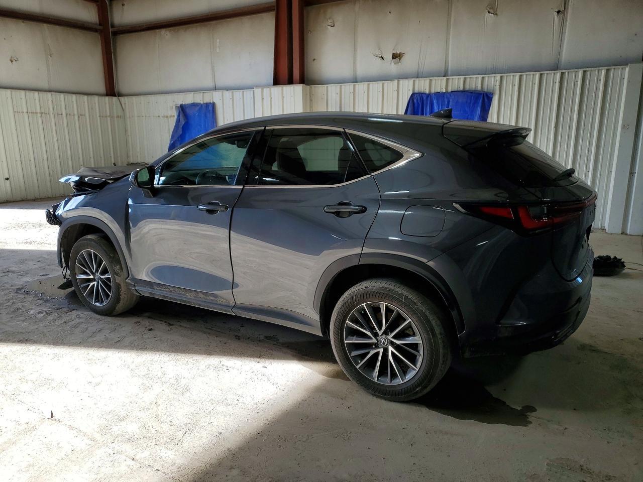 2024 LEXUS NX 350