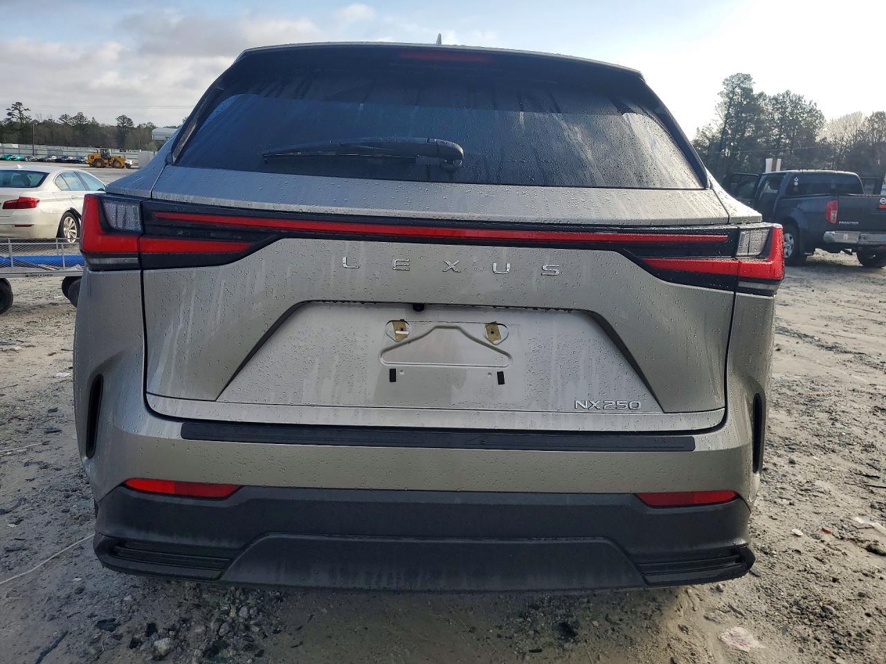 2024 LEXUS NX 250