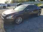 2010 NISSAN Maxima