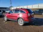 2010 HONDA CR-V