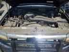 1993 FORD Bronco
