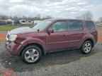 2013 HONDA PILOT