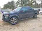 2013 FORD F-150 Lightning