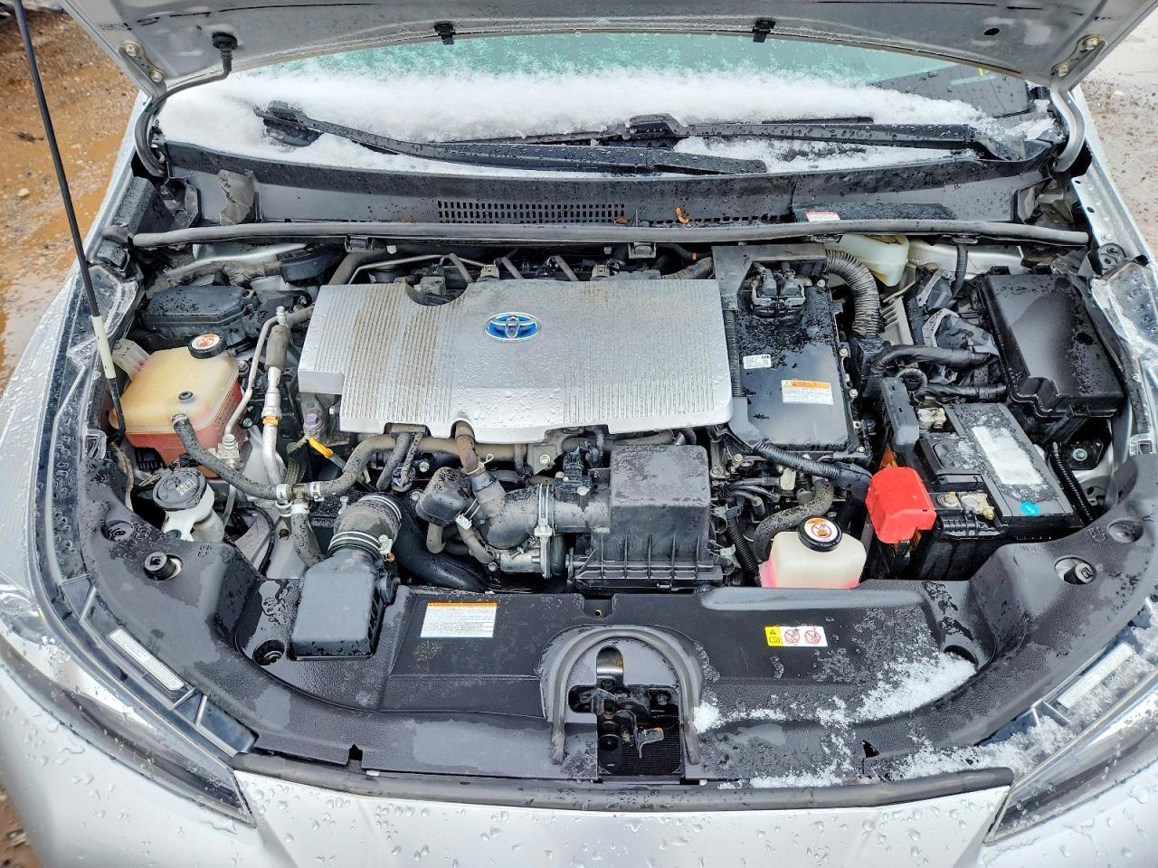 2019 TOYOTA PRIUS