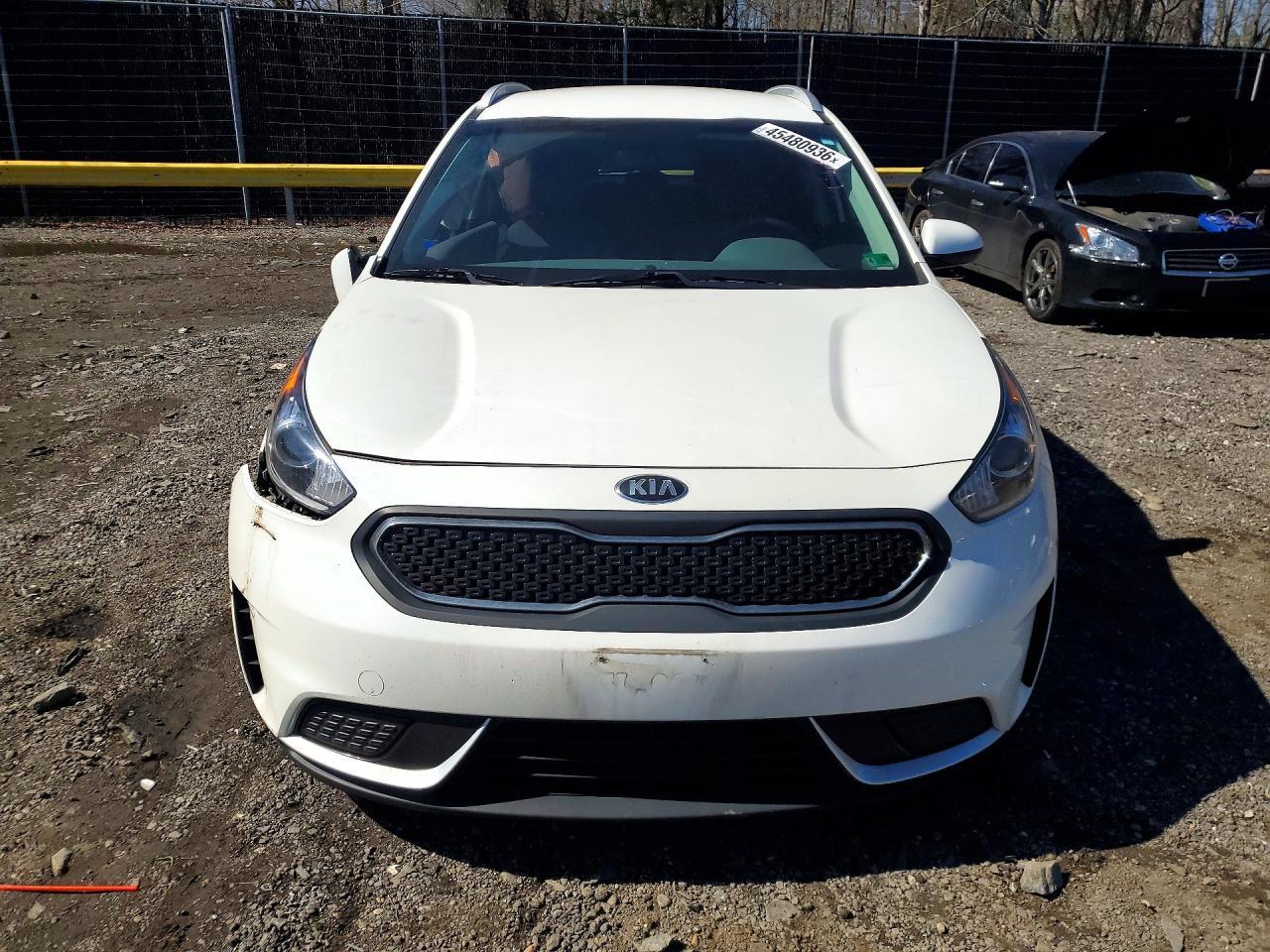 2019 KIA Niro
