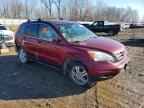 2010 HONDA CR-V