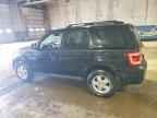 2010 FORD ESCAPE