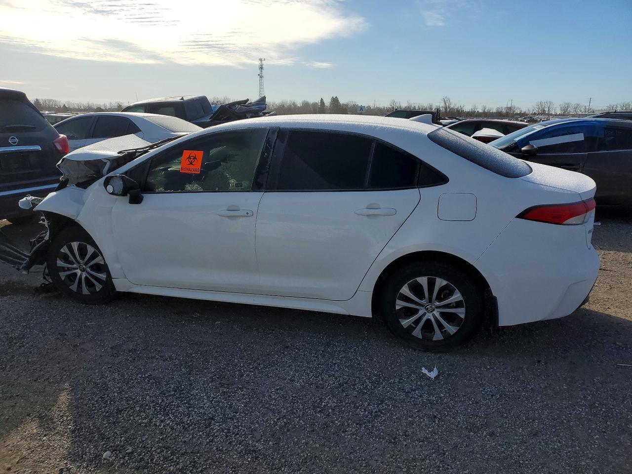 2025 TOYOTA COROLLA