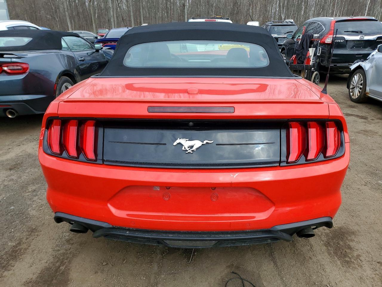 2019 FORD MUSTANG