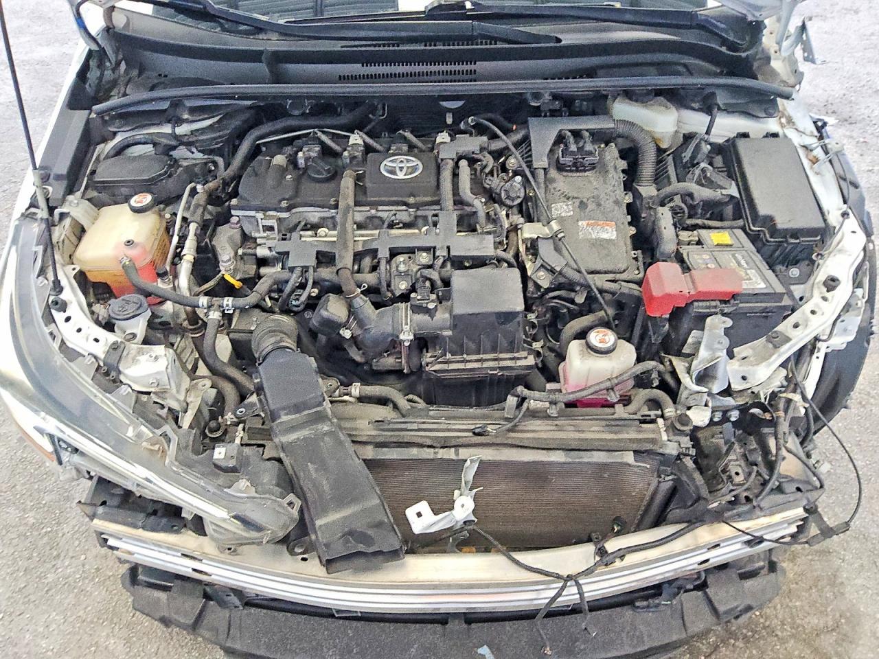 2020 TOYOTA COROLLA