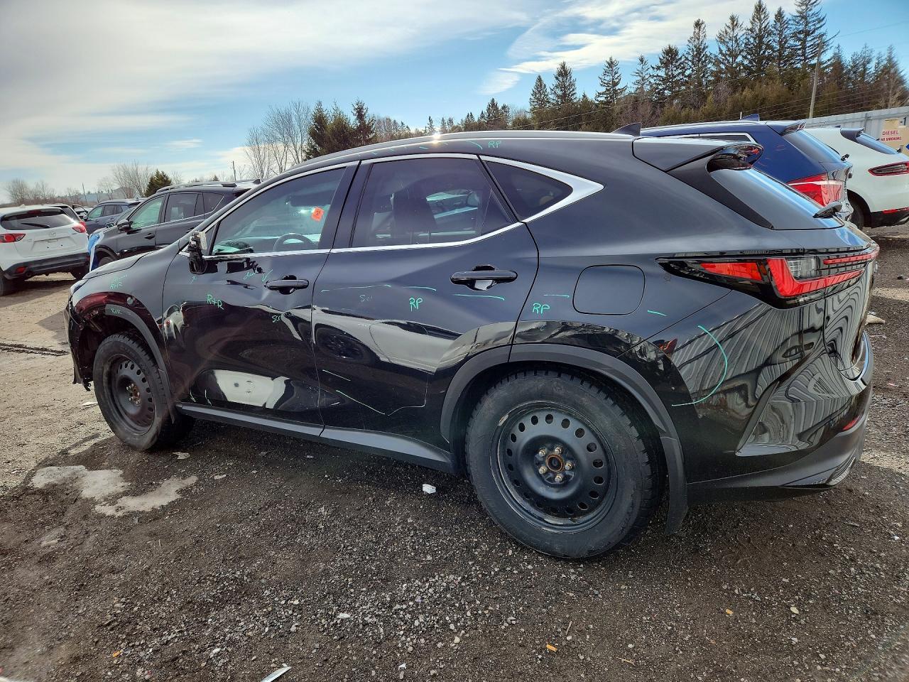 2022 LEXUS NX 250