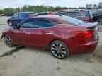 2016 NISSAN Maxima